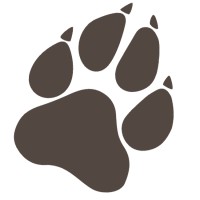 Wolf Mode Marketing - Data Driven - Digital Marketing Agency logo - Similar company to Cubicblue