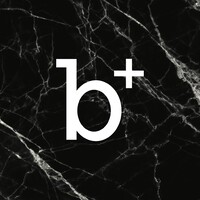 b+villas - renovation - interiors logo - Similar company to Md Bouw