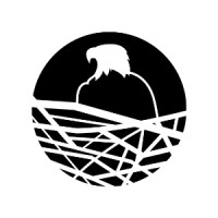 Aerie Advisors LLC