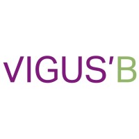 Vigus'b developpement logo - Similar company to Myprotect