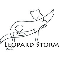 Leopard Storm Accounting logo - Similar company to Delta Hedge