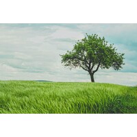 kiyacompany logo - Similar company to Copex Gmbh