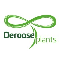 Deroose Plants Group logo - Similar company to Champion Breweries Plc