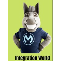Integration world logo - Similar company to Dataweave Fun