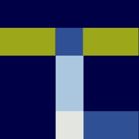 TOLCANO logo - Similar company to Evolved Digitals