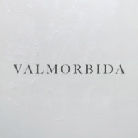 Valmorbida Group logo - Similar company to Blonde Medicine