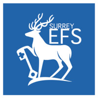 Surrey Economics & Finance Society logo - Similar company to Surrey Consulting Society