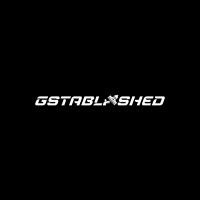 gstablished logo - Similar company to Good Luck Kid
