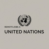 Remote Jobs at UN logo - Similar company to A & Co Accountants