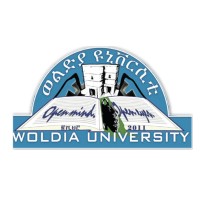 Woldia University logo - Similar company to National Election Board Of Ethiopia | Nebe