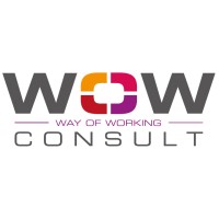WoW-consult logo - Similar company to Supplyplus