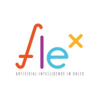 sales-flex logo - Similar company to Birapi
