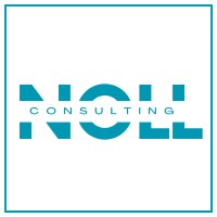 Sascha Noll Consulting logo - Similar company to Sidekick Designs