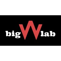 bigWlab logo - Similar company to Servicehub Ltd