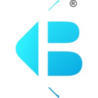 Bringle Academy logo - Similar company to Certipath Training Solutions