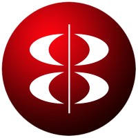 Intelligent Business Strategies