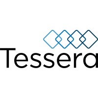 Tessera Finance Limited logo - Similar company to G P Friel Ltd.
