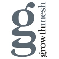GrowthMesh logo - Similar company to Create Growth N2