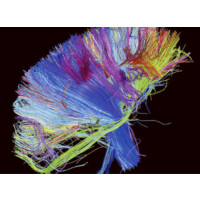 Biologiadelcambio.Com