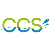 CC SUD logo - Similar company to Seawise