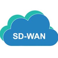 SD-WAN logo - Similar company to Sd-Wan Services