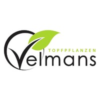 Topfpflanzen Velmans logo - Similar company to J De Meulemeester