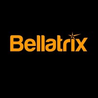 BELLATRIX TECH logo - Similar company to Guinea Energy