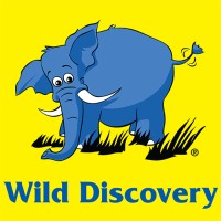 Wild Discovery Tourism & Holidays logo - Similar company to Itours Dmcc