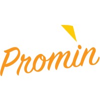 Promin LLC logo - Similar company to Remo Workspaces
