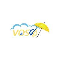 Voso Store logo - Similar company to Digitize Tech