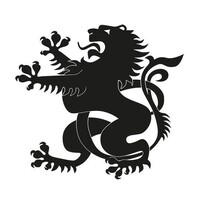 Solomon's IFA logo - Similar company to Bsl Plus