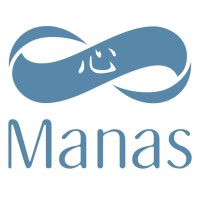 Manas logo - Similar company to Statum