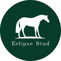 Eclipse Stud