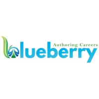 BLUEBERRY MEDCORP LLC logo - Similar company to Summit Elite Solutions