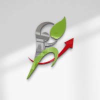 Potentiel consulting SARL logo - Similar company to Pro & Wise Advisory