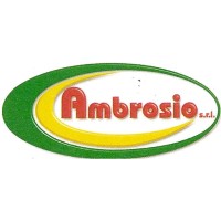 Ambrosio Srl logo - Similar company to Fratelli Gabriel Gmbh