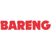BARENG GROUP logo - Similar company to Ecombizzform