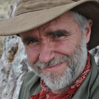 Bushcraft with David Willis logo - Similar company to Lt Wright Knives