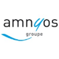 AMNYOS Consultants logo - Similar company to Espelia