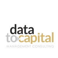 DataToCapital Consulting logo - Similar company to Lcs