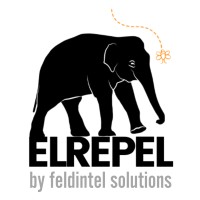 FeldIntel Solutions logo - Similar company to Basis: Foundations For Life