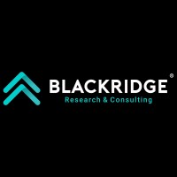 Blackridge Research & Consulting® logo - Similar company to Econcero