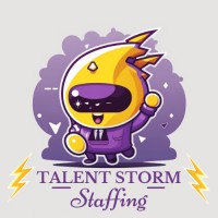Talent Storm Staffing LLC logo - Similar company to People Talent Staffing