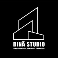 Binā Studio logo - Similar company to Edilcross - Marketing Engineering