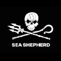 Sea Shepherd Belgium logo - Similar company to Puipikak Malu