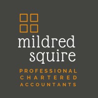 Social Enterprises Management Accountants logo - Similar company to Vision Business Consulting