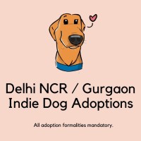 Dog Adoptions (Delhi, Noida, Gurugram) logo - Similar company to Adopt-A-Dog