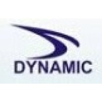 Dynamic Power Solutions logo - Similar company to Sunset Engineering Namibia