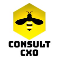 Consult CXO logo - Similar company to Consult Solutions