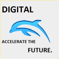 Digital Dolphin Technologies Inc logo - Similar company to Norconex